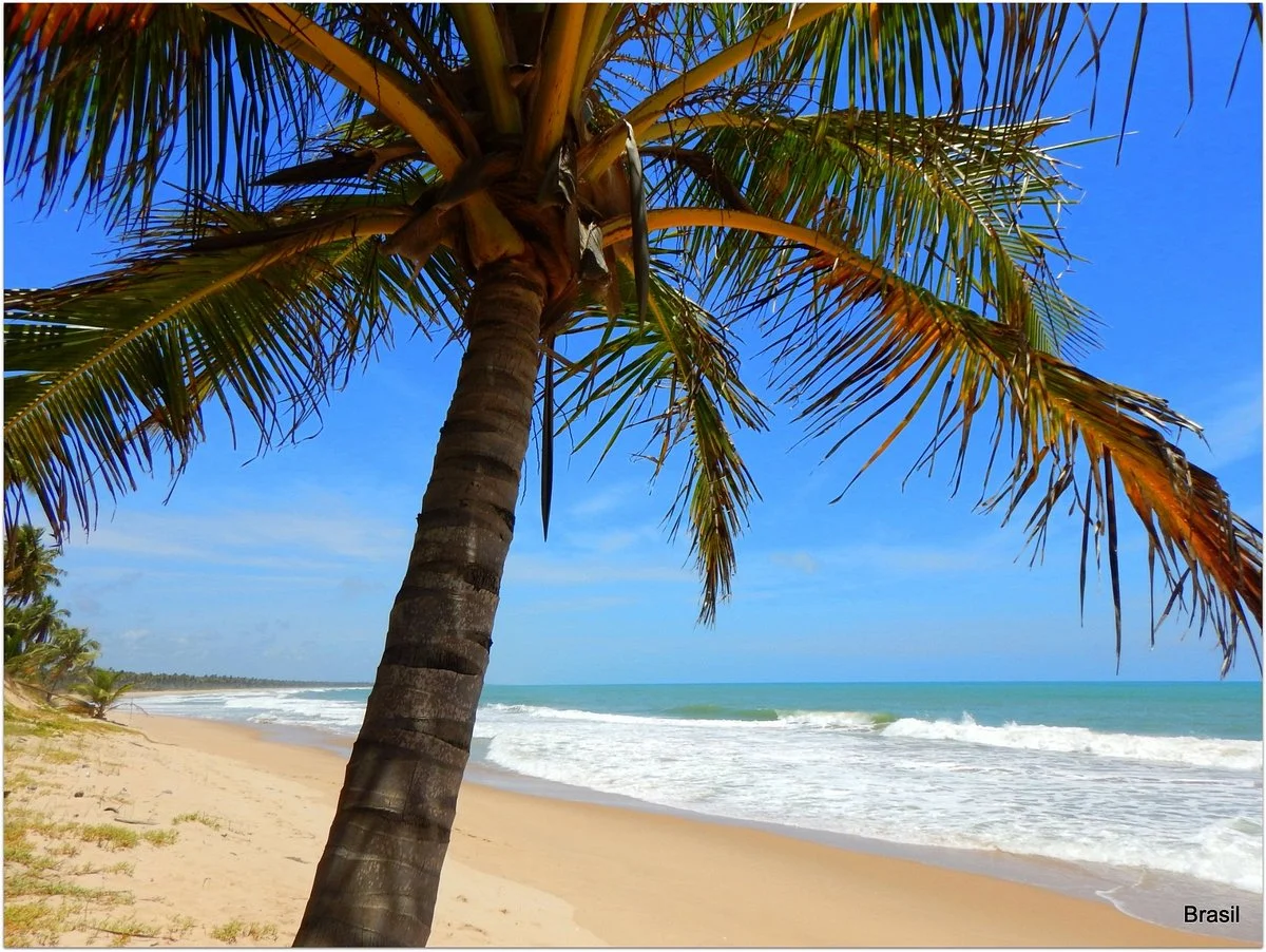 Imbassai Beach