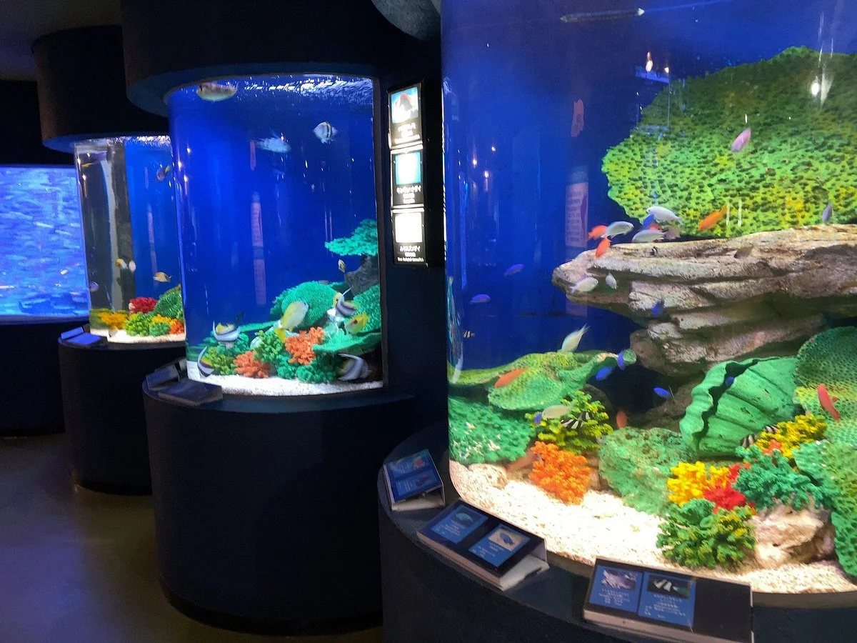 Teradomari Aquarium