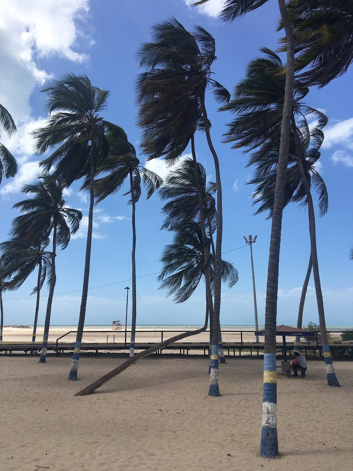 Muelle de Riohacha