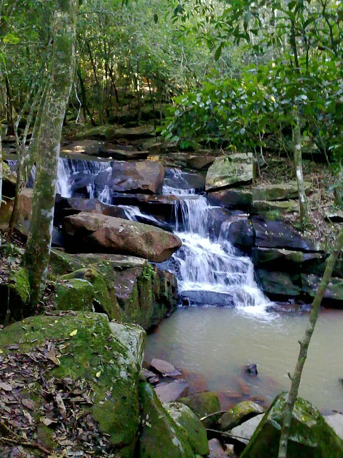 Botanical Garden of Lajeado