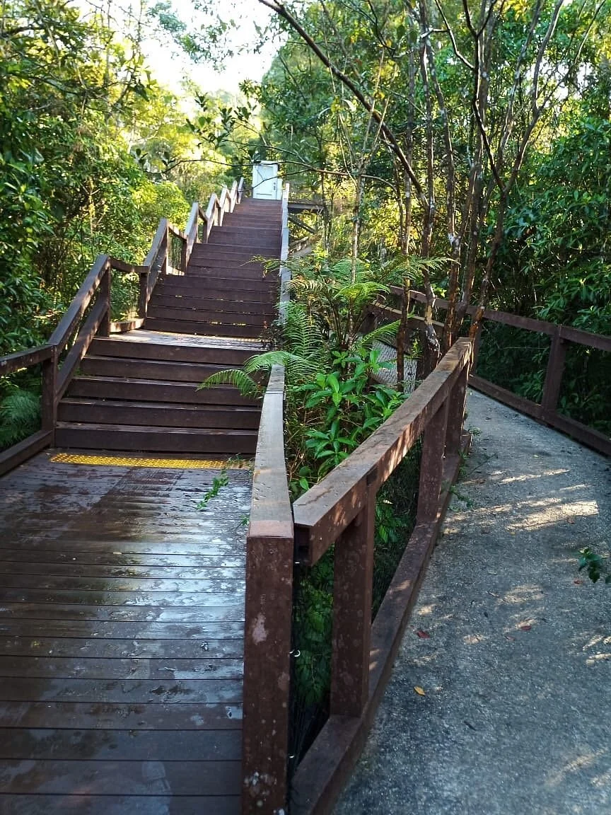 Parque Ecologico Imigrantes
