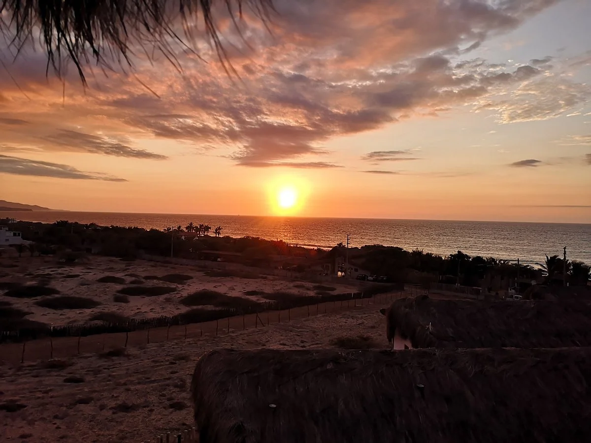 Playa Los Organos
