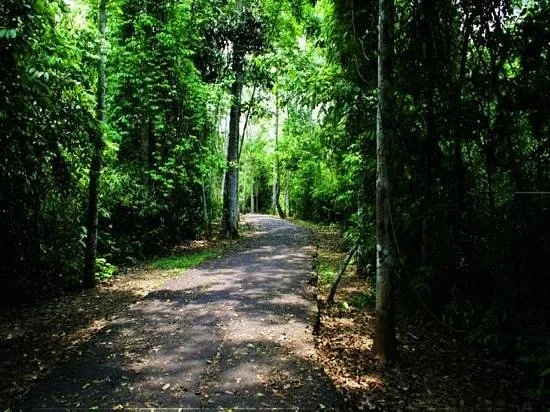 Parque Ambiental Chico Mendes
