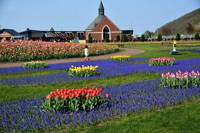 Kamiyubetsu Tulip Park
