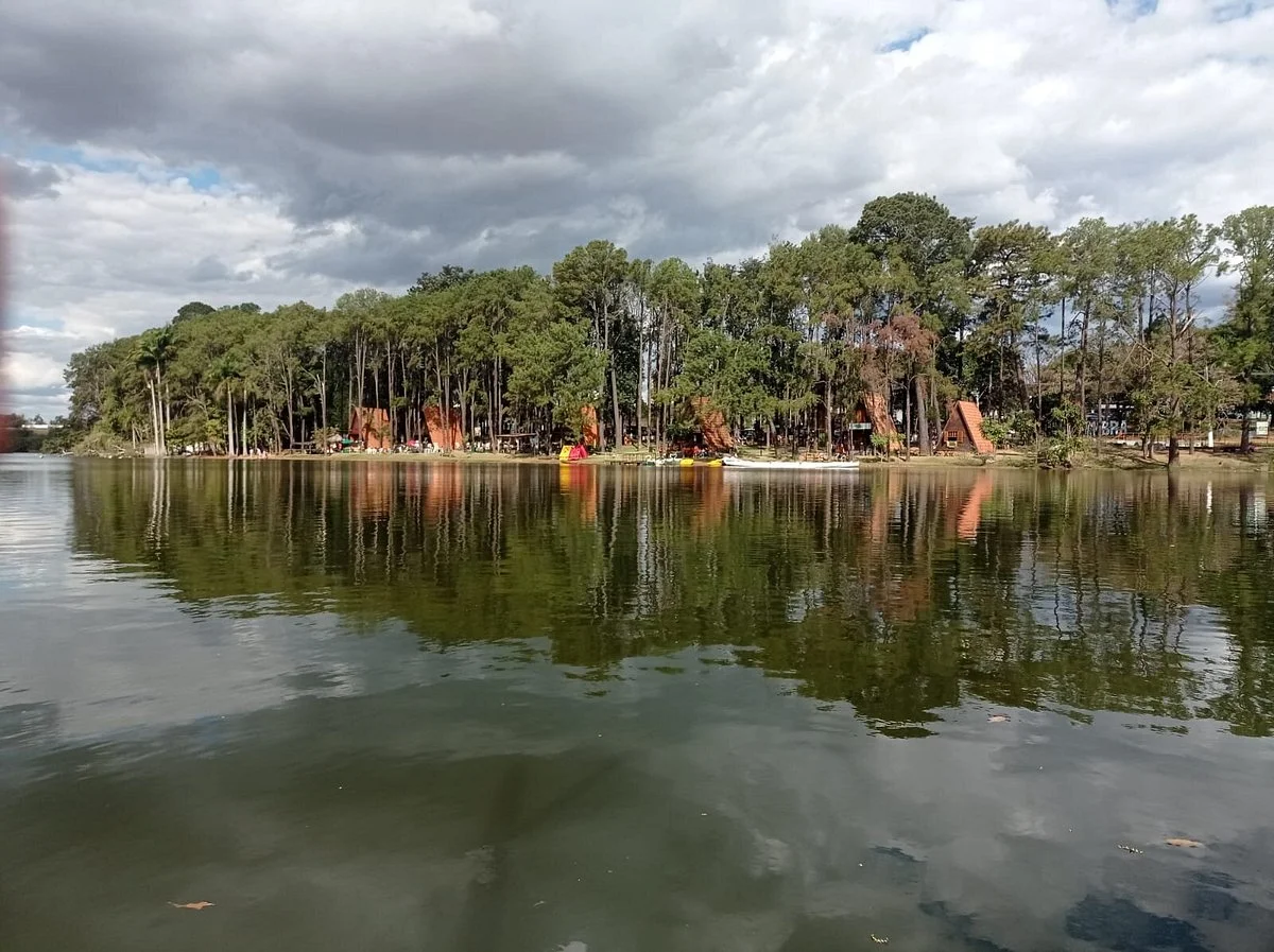 Parque Van Gogh