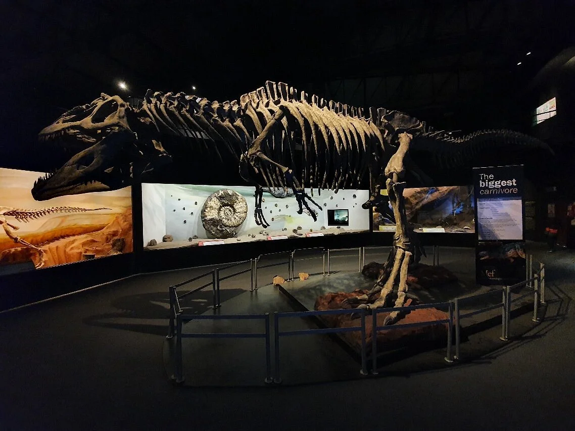 Museo Paleontologico Egidio Feruglio