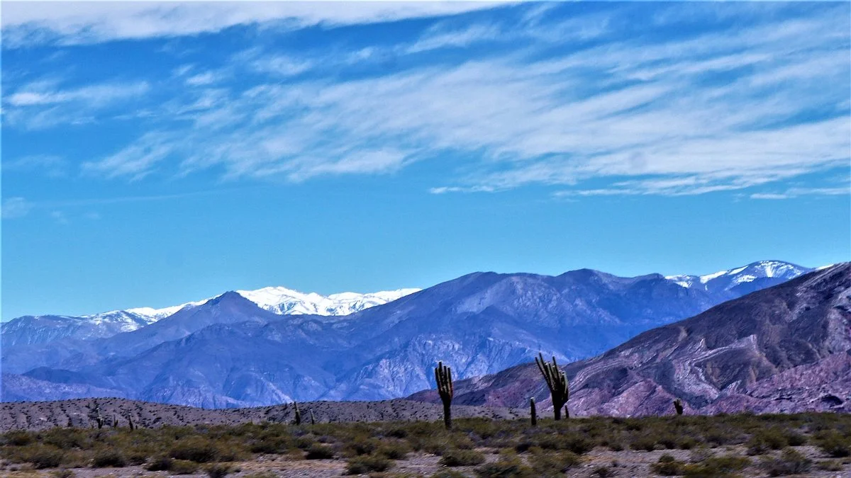 Parque Nacional Los Cardones