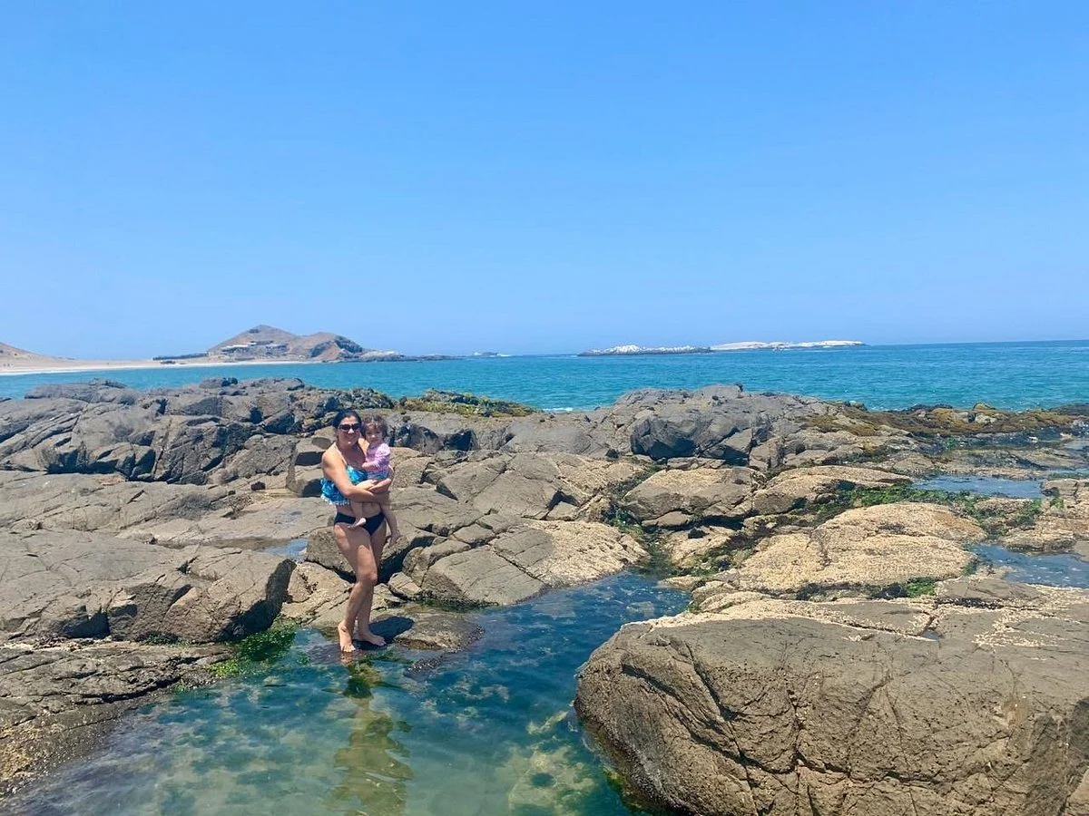 Playa Punta Patillos