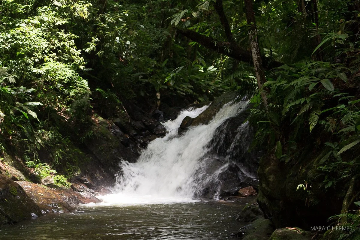 Grutas de Botuvera