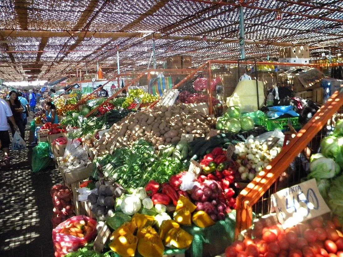 Terminal Agropecuario Arica