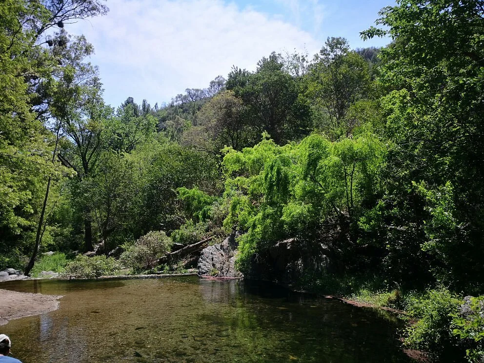 Pozo Verde