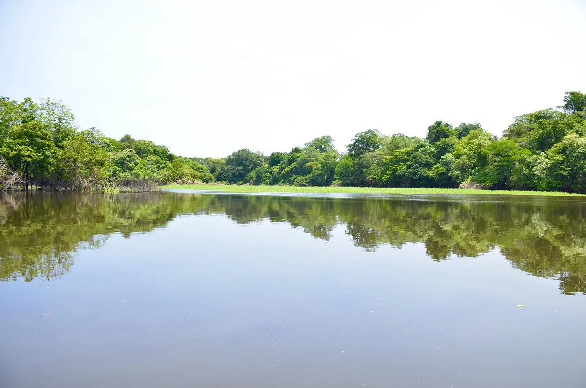 Mamiraua Sustainable Development Reserve