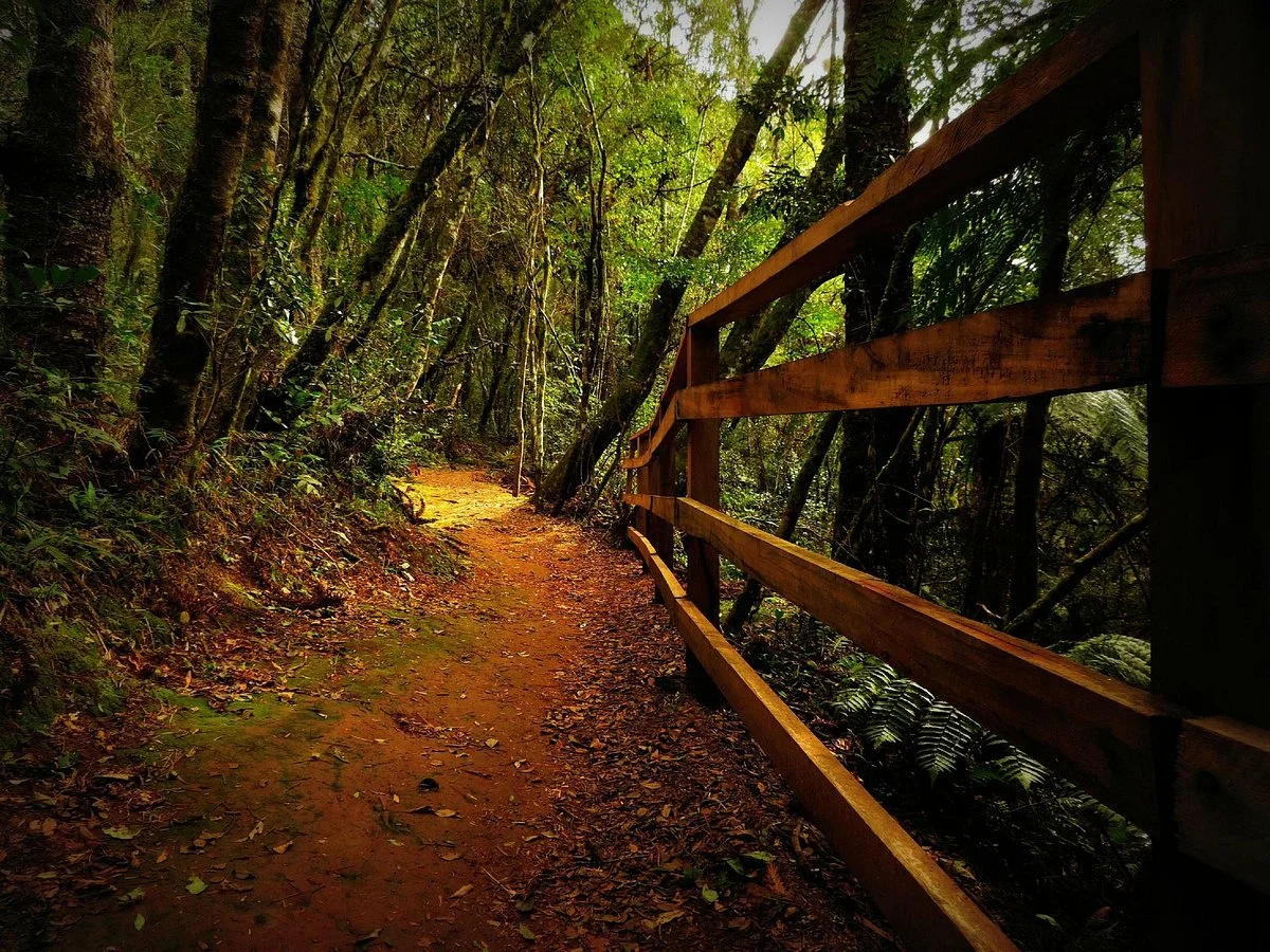 Parque Municipal das Araucarias