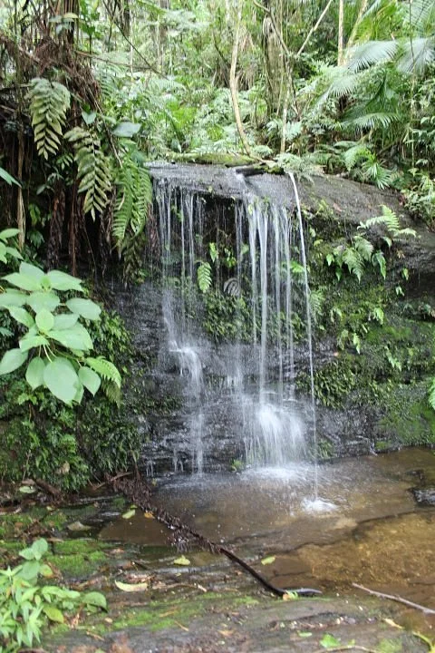 Parque Estadual de Nova Baden