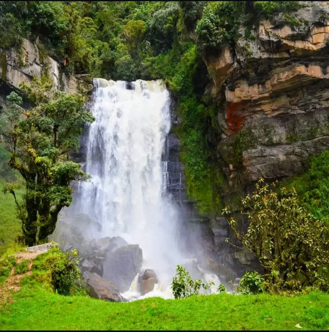 Cascada Nemusten-Sueva