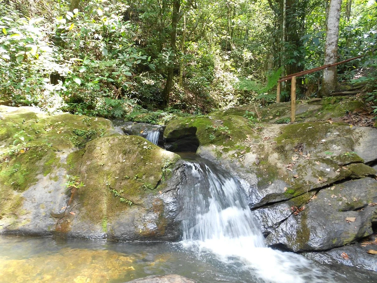 Vagafogo