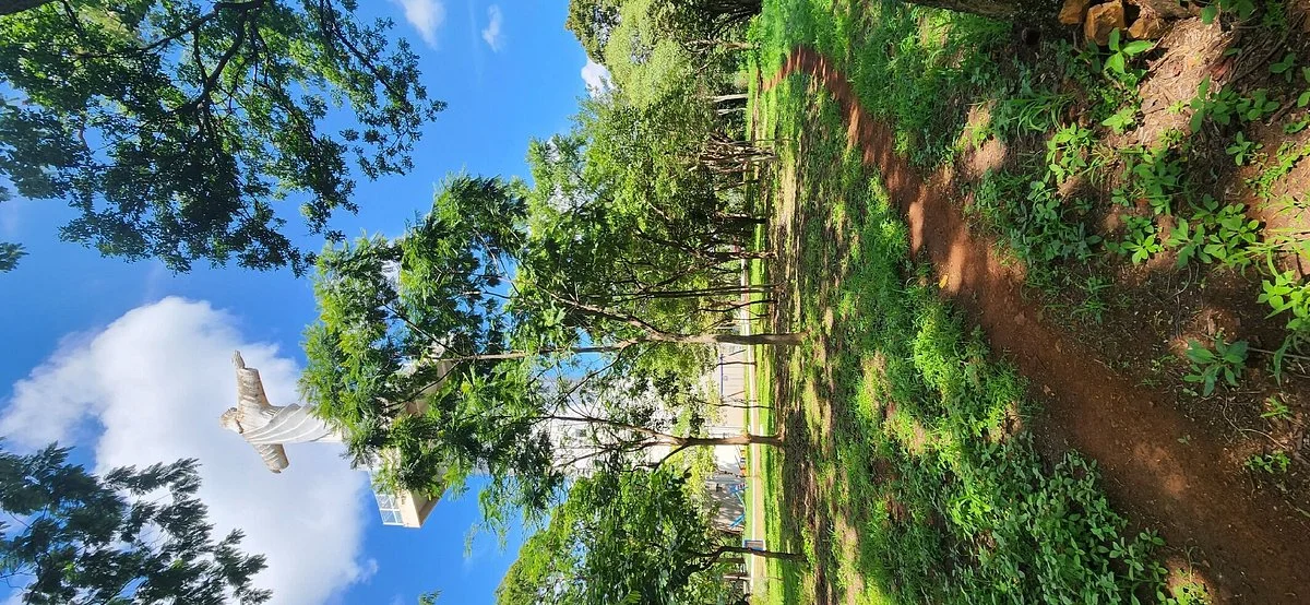 Parque do Cristo