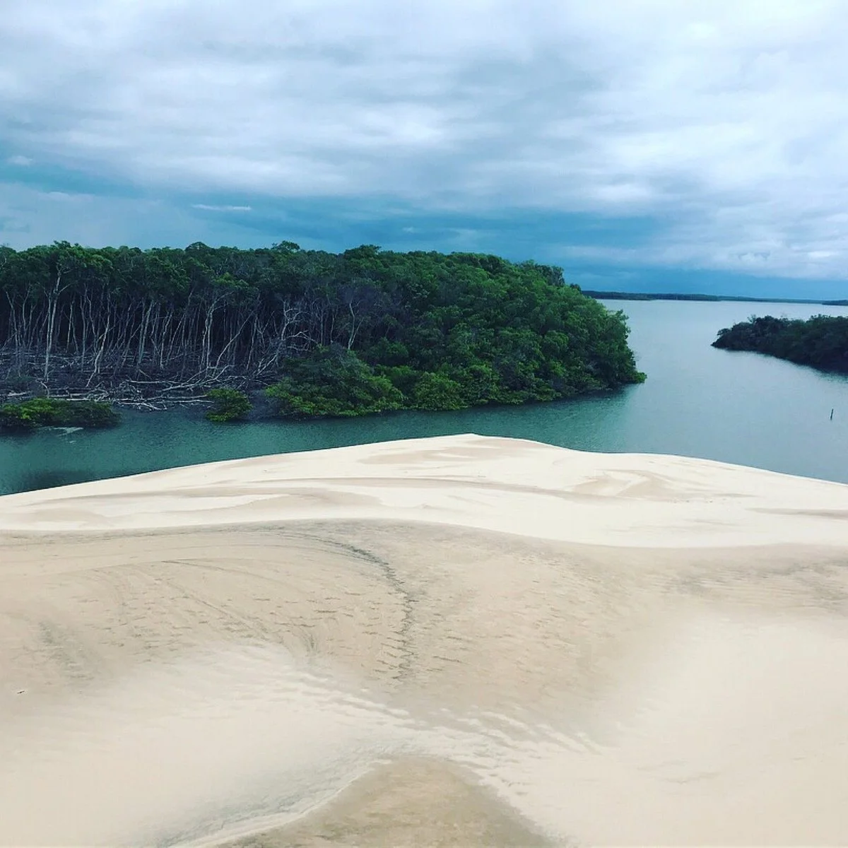 Parnaiba Delta