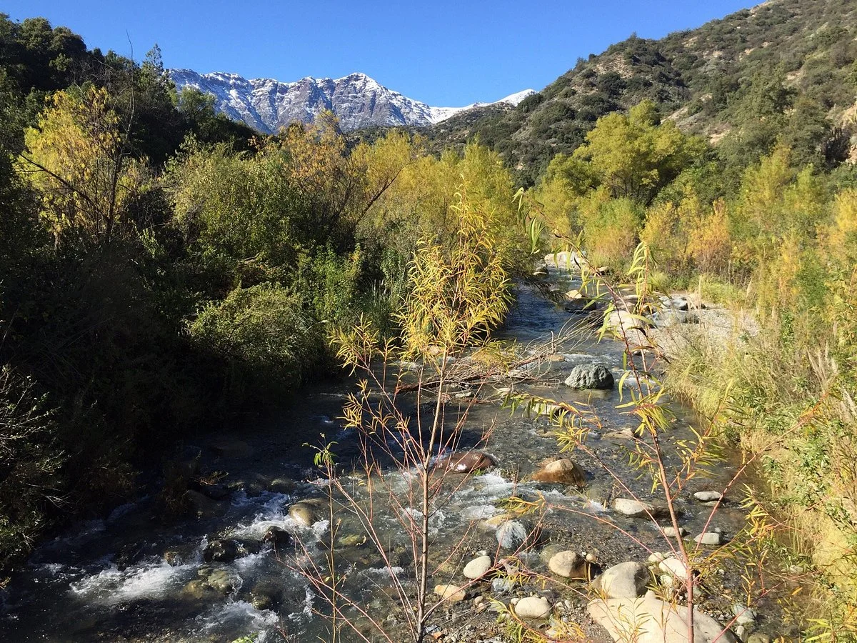 Clarillo River National Reserve