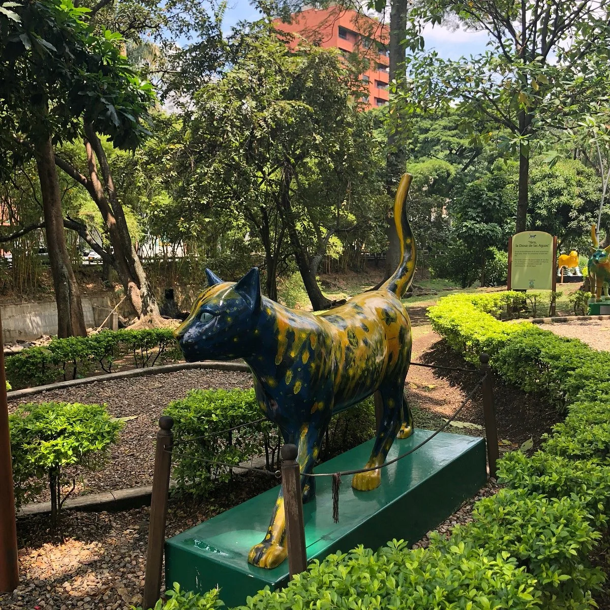 Gato de Tejada