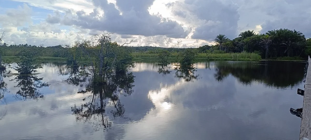 Parque Natural Municipal klaus Peters