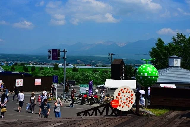 Tomita Melon House