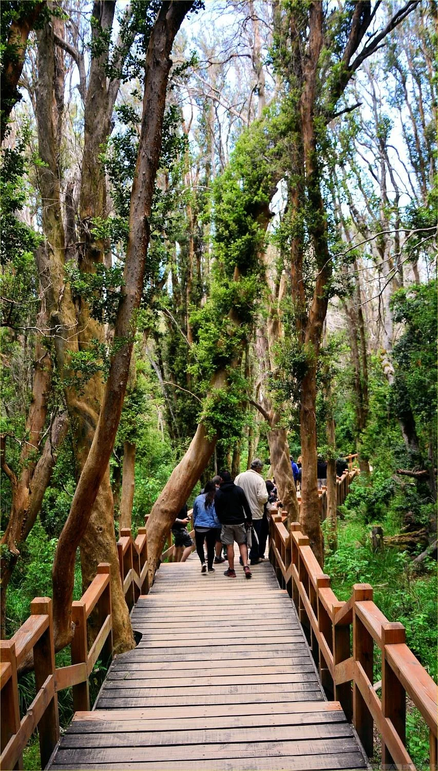 Sendero de los Arrayanes