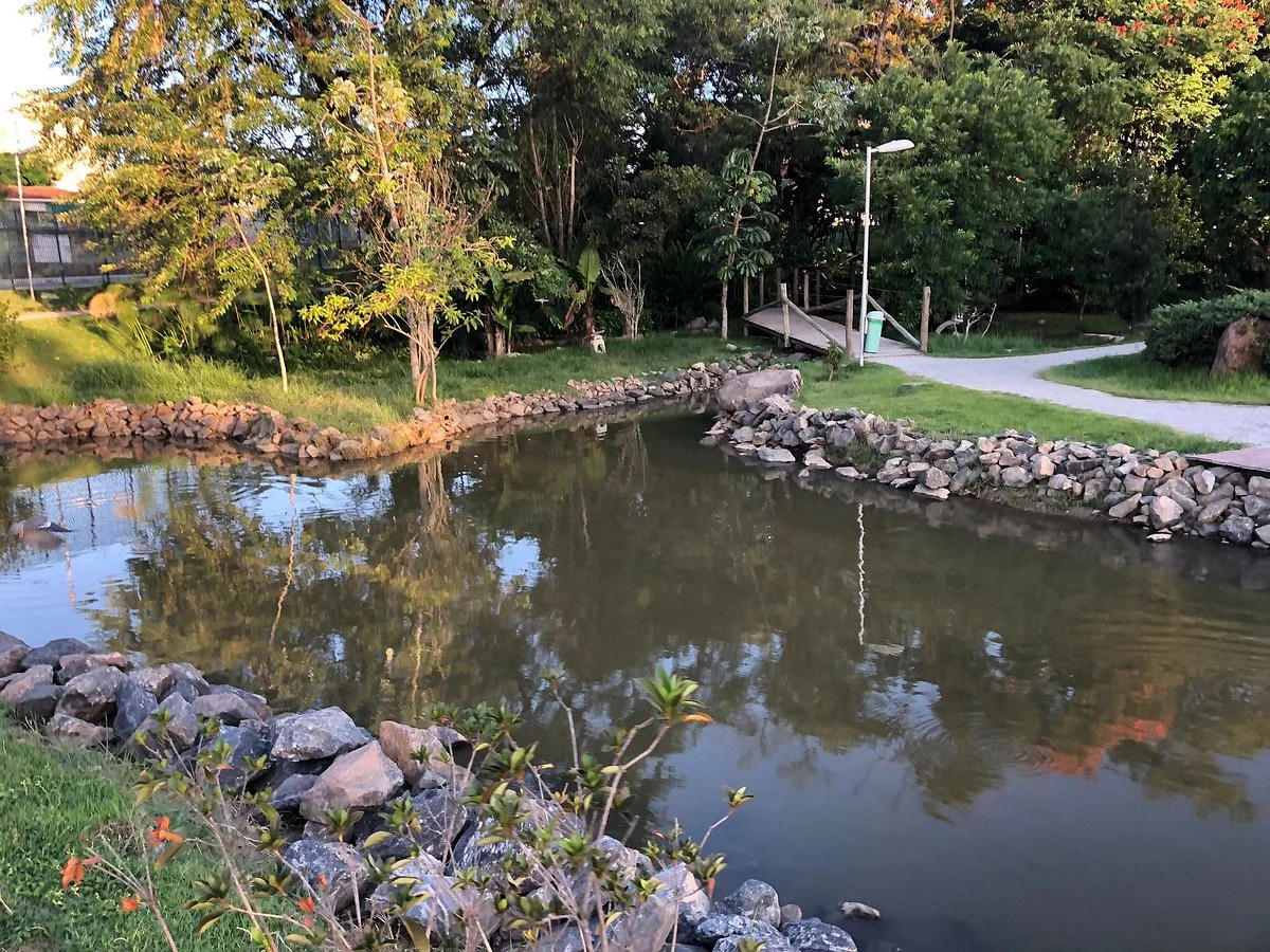 Parque da Cidade