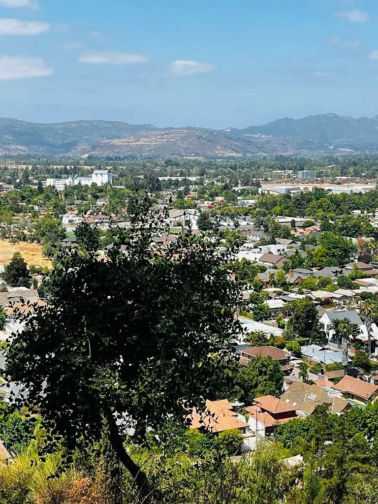 Cerro Condell