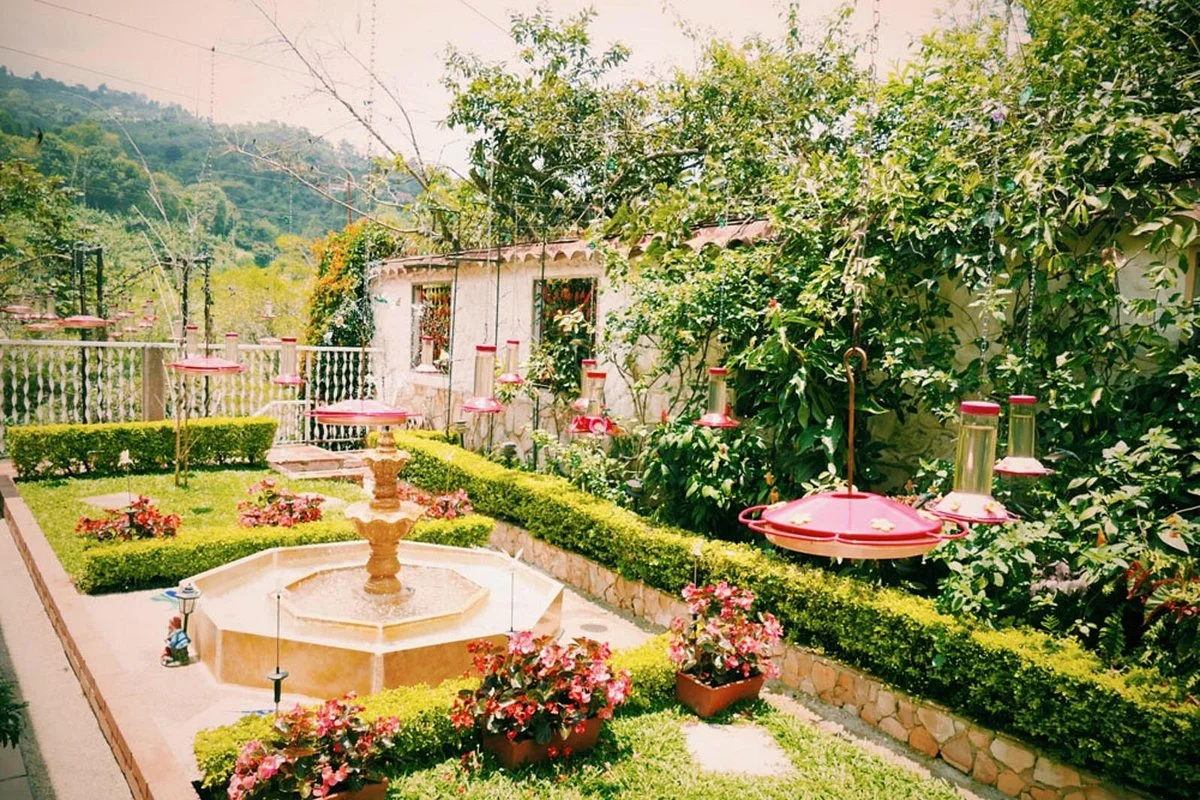Enchanted Garden