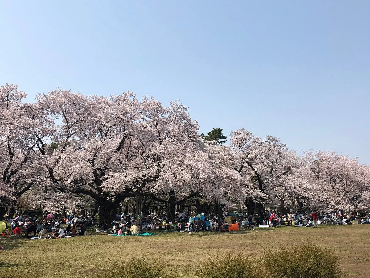 Tokyo Metropolitan Koganei Park