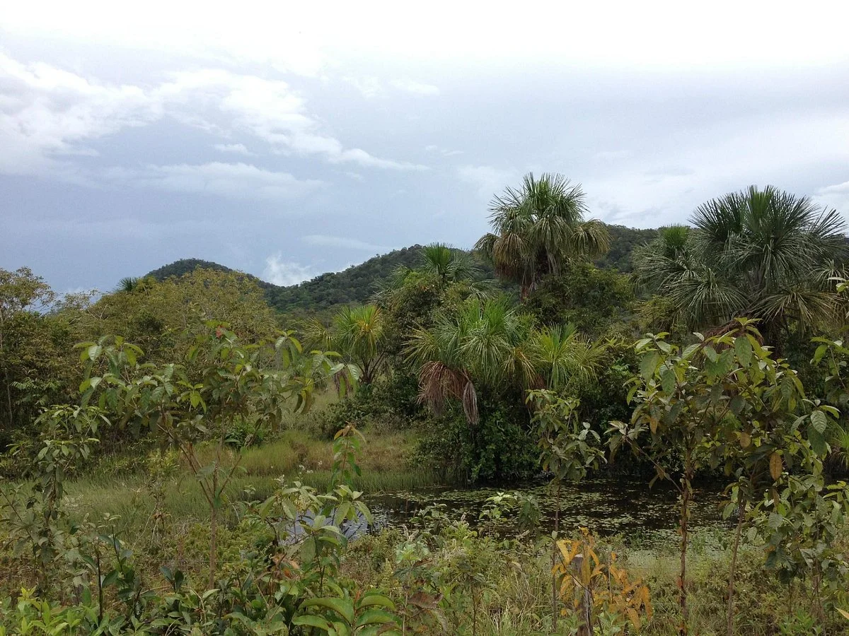 National Park Virua
