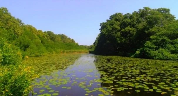 Parque Isla Salamanca