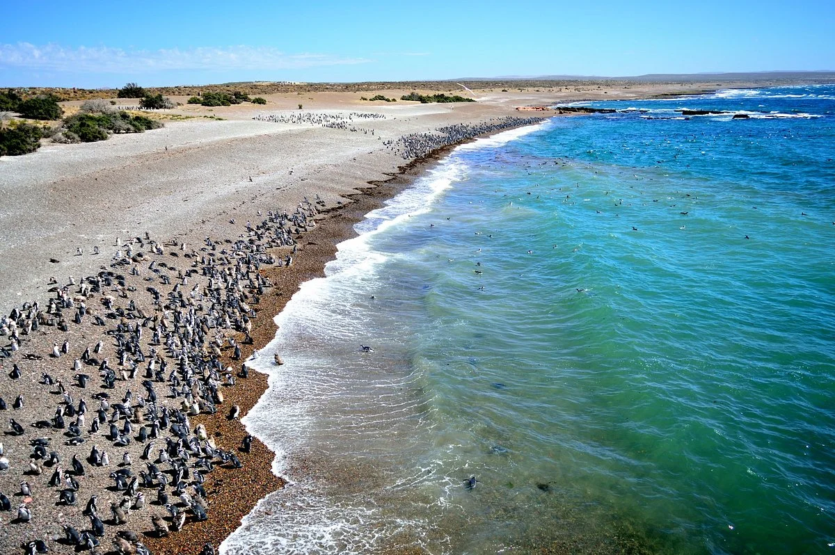 Punta Tombo
