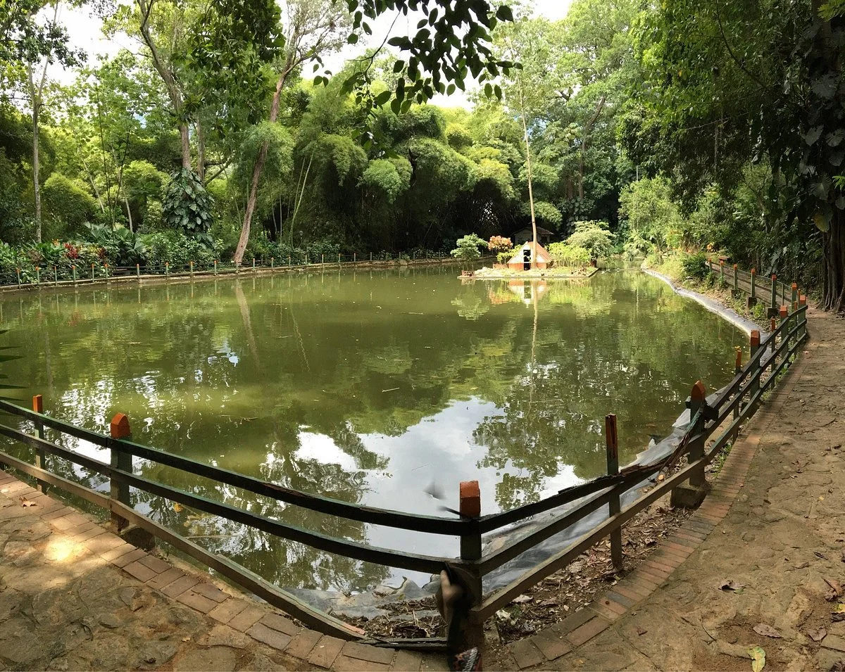 Jardin Botanico Eloy Valenzuela