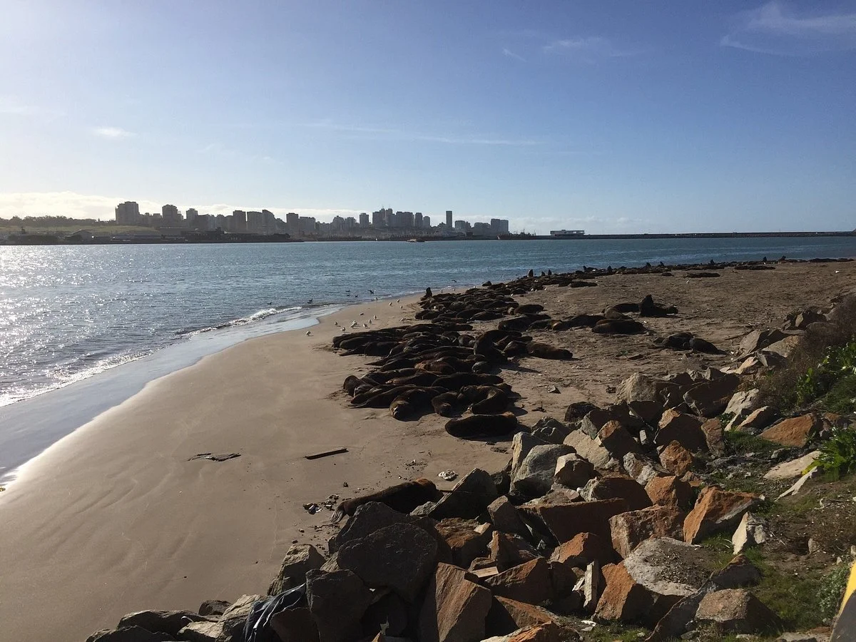 Reserva de Lobos Marinos