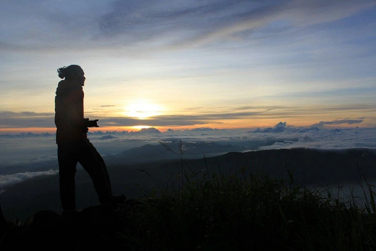 Tropical Rainforest Heritage of Sumatra