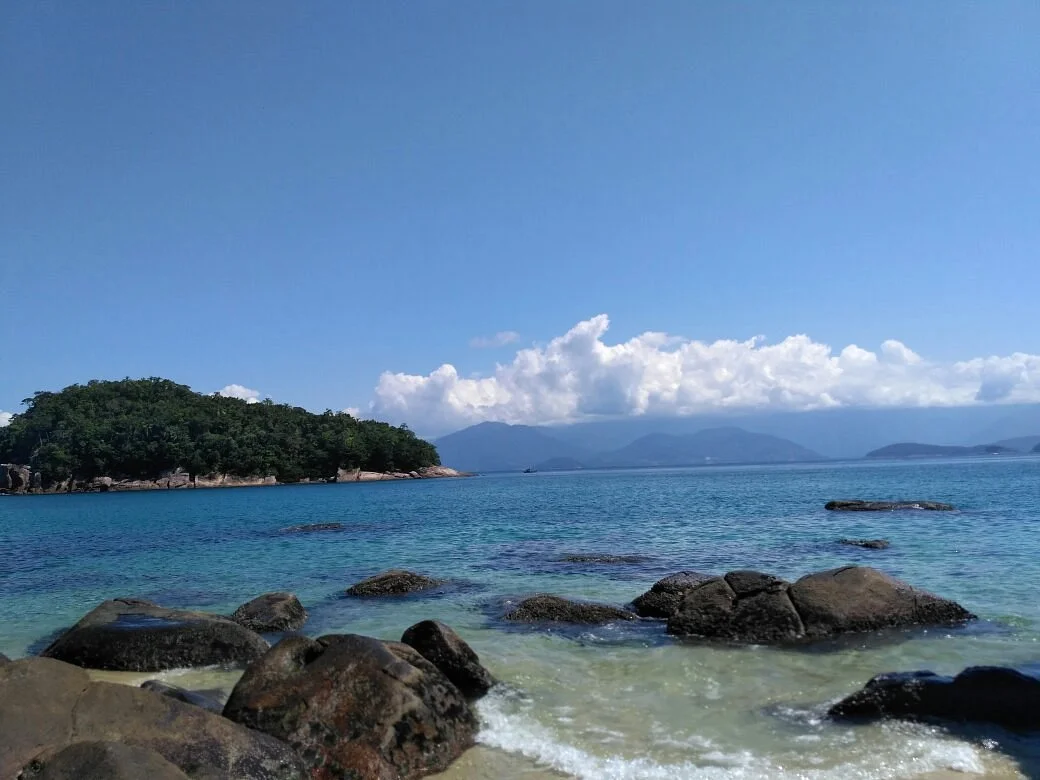 Ilha Dos Couves
