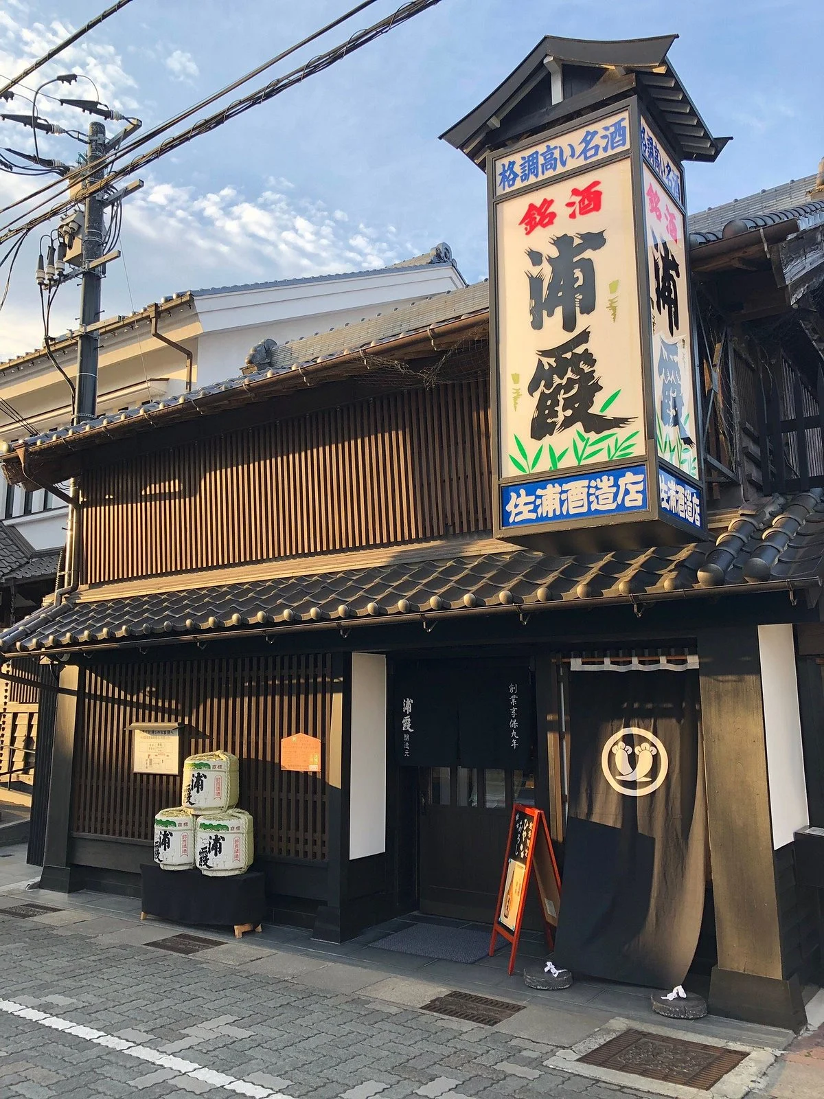 Urakasumijyozomotosaura