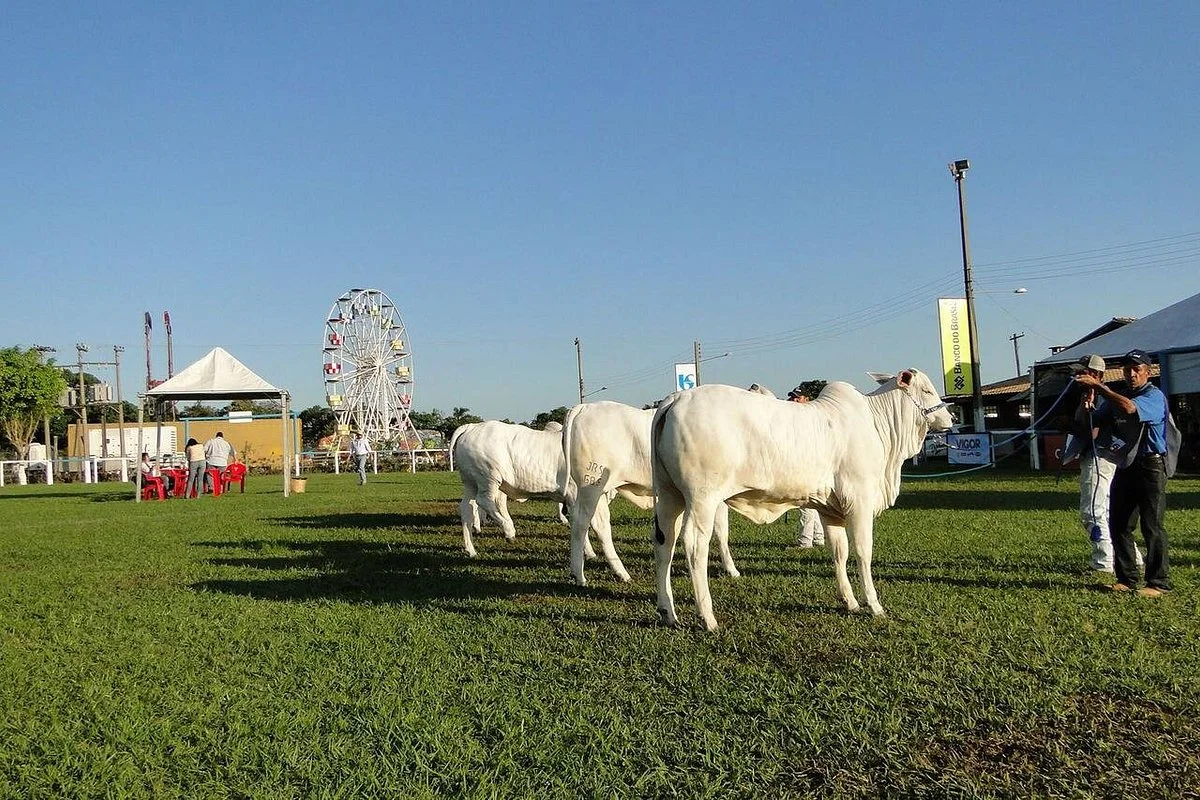 Expoagro Itapetininga