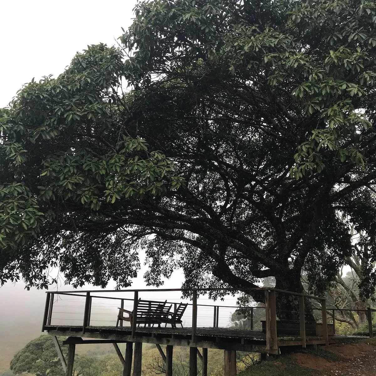 Fazenda Agua da Capoeira