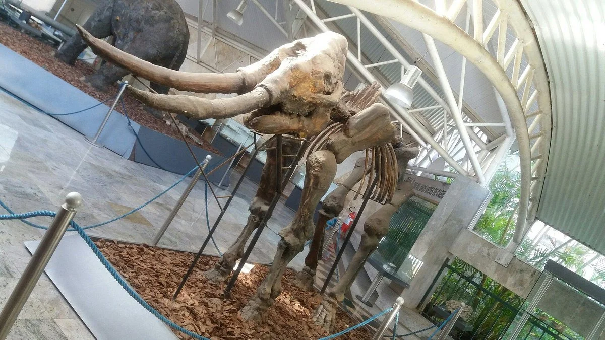 Museu Geologico da Bahia