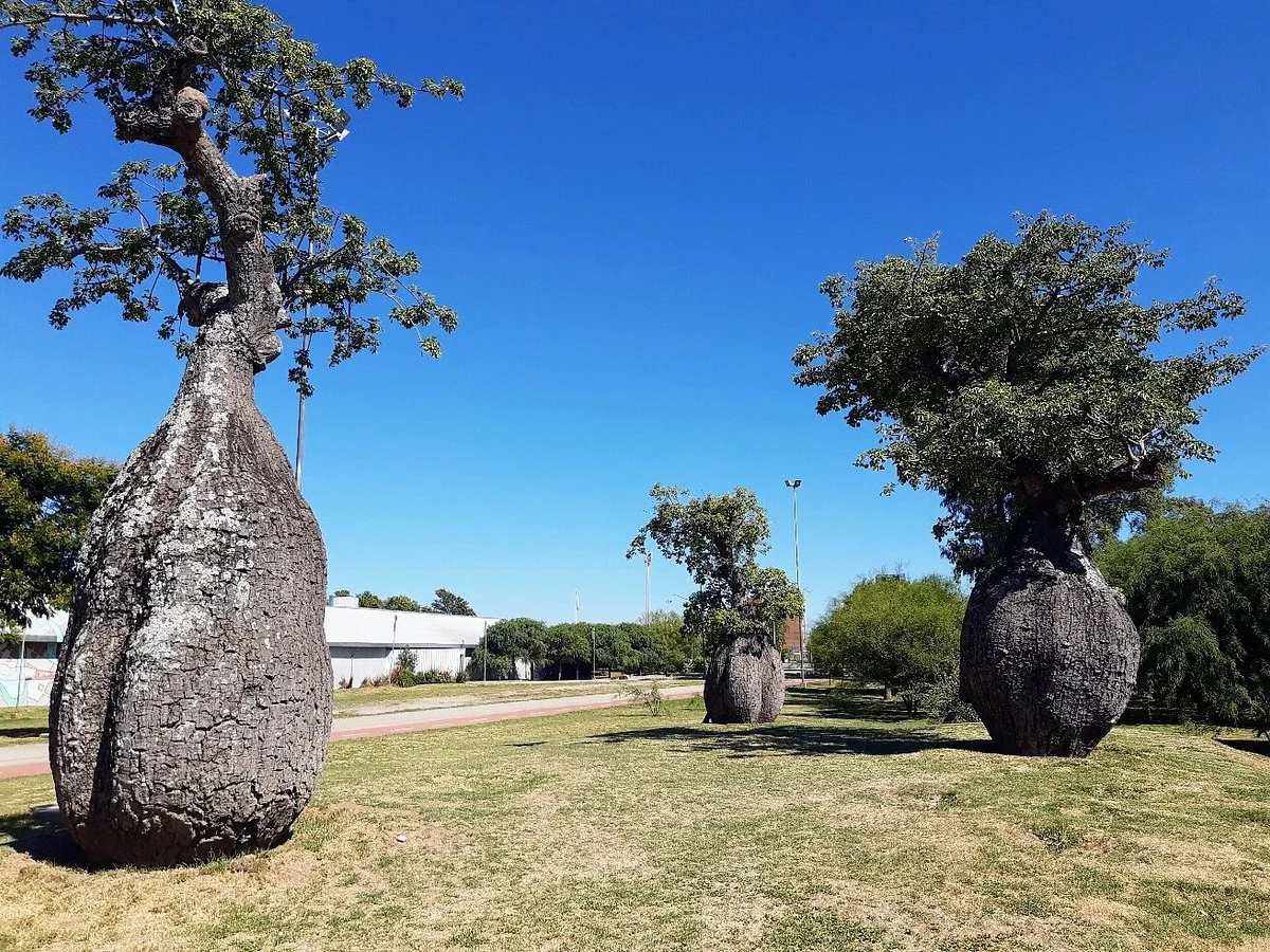 Parque de la Vida