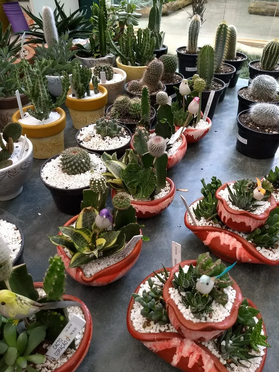 Orquidário Binot