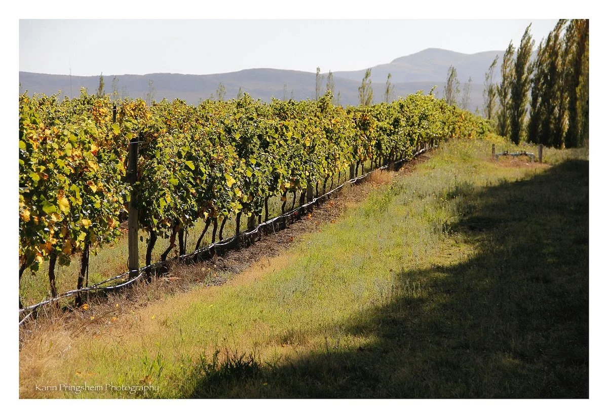 Bodega Saldungaray