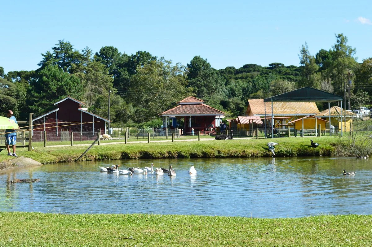 Vila dos Animais