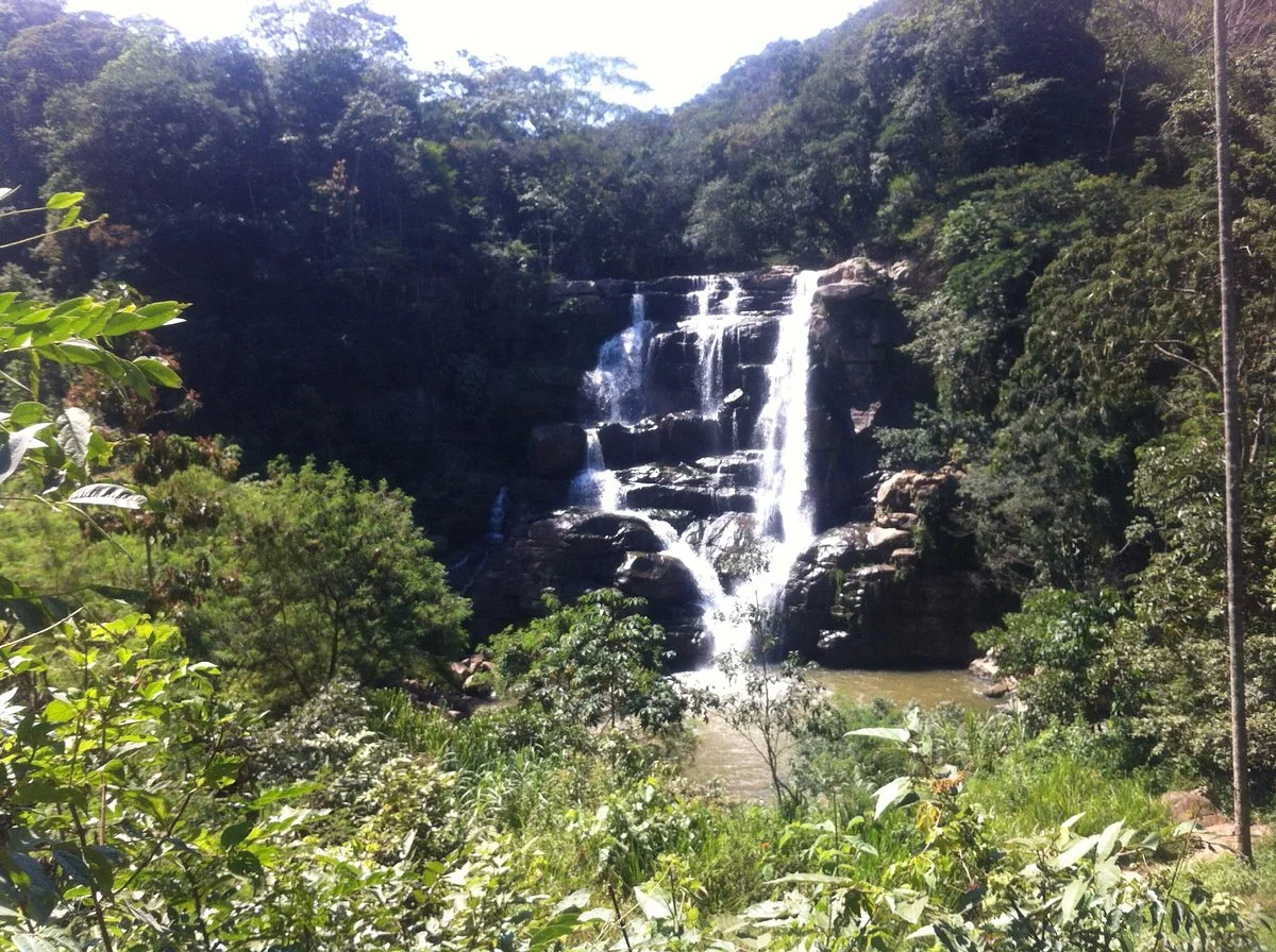 Salto de Versalles