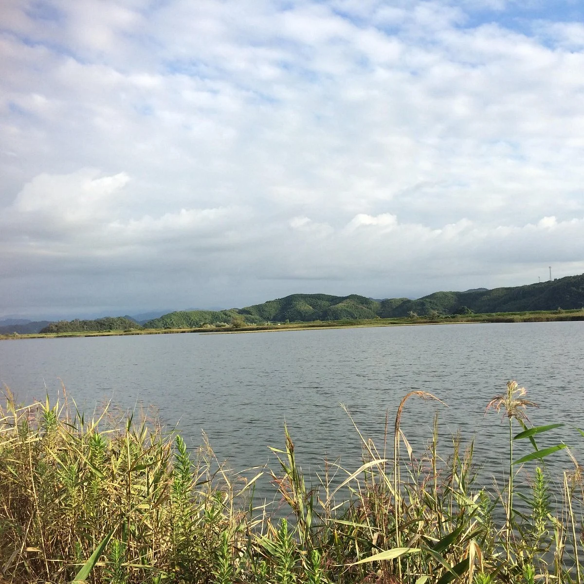 Yonago Waterbird Sanctuary