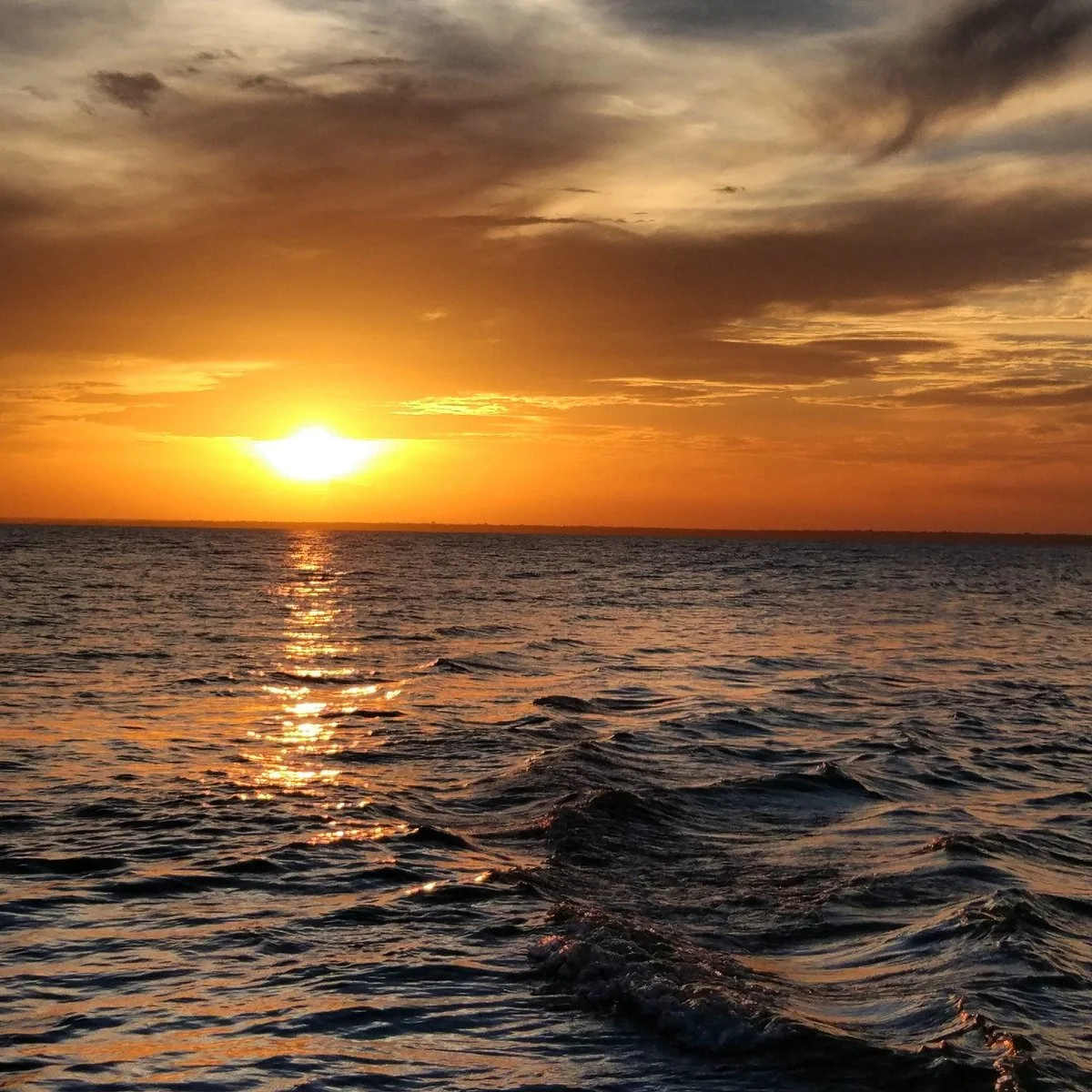 Cururu's Point