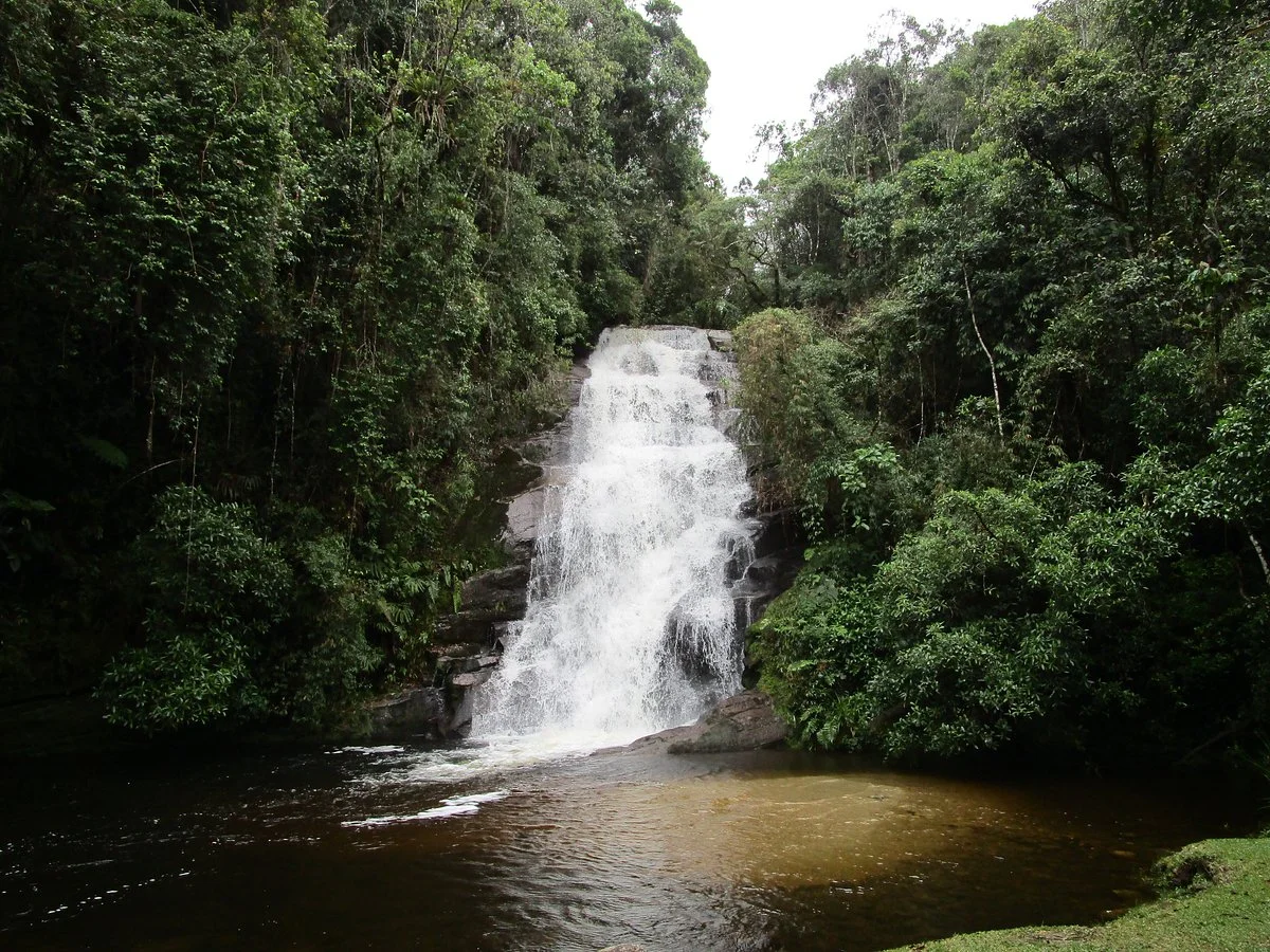 Estação Ecológica de Bananal